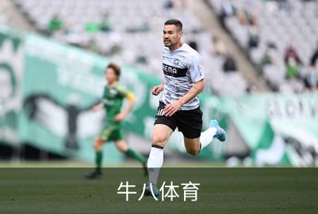 牛八体育介绍